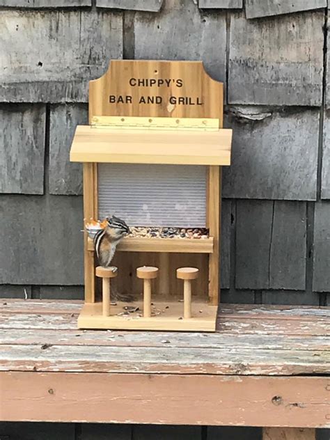 chipmunk feeder